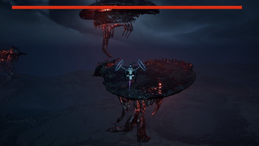 ֮ʦ