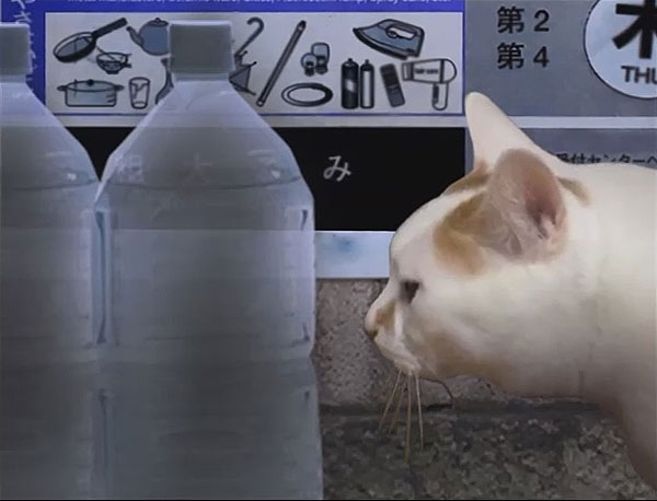 PCƽ桷